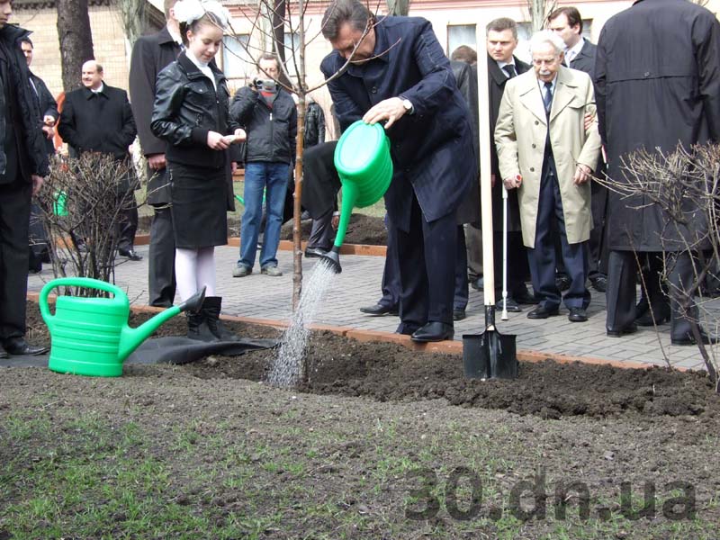 Засохло дерево, посаженное Януковичем 1 1368430268