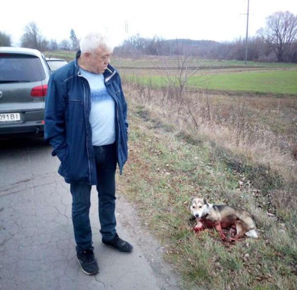 Директор госархива Хмельницкой области устроил расправу над собакой (ВИДЕО) 1 425da906efd1c486b364313e91ed0c88b9445b82