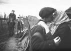 День партизанской славы Украины 1 51924