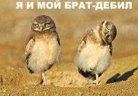 Віктор Балога серйозно хворий! 1 53114