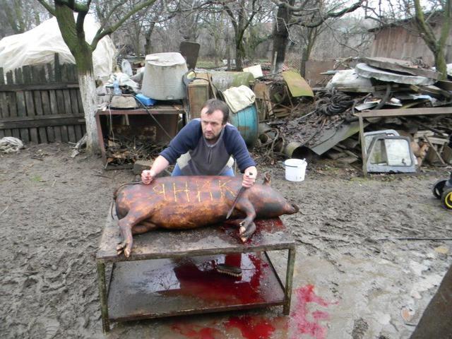 На Закарпатье прикончили "Яныка" (ФОТО) 1