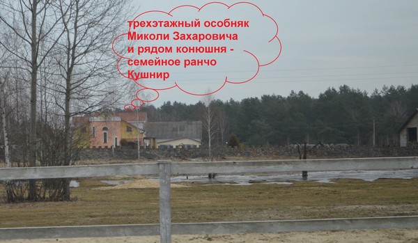 Шоу для отпрыска янтарного феодала из БПП 4 big ranchokushnirr
