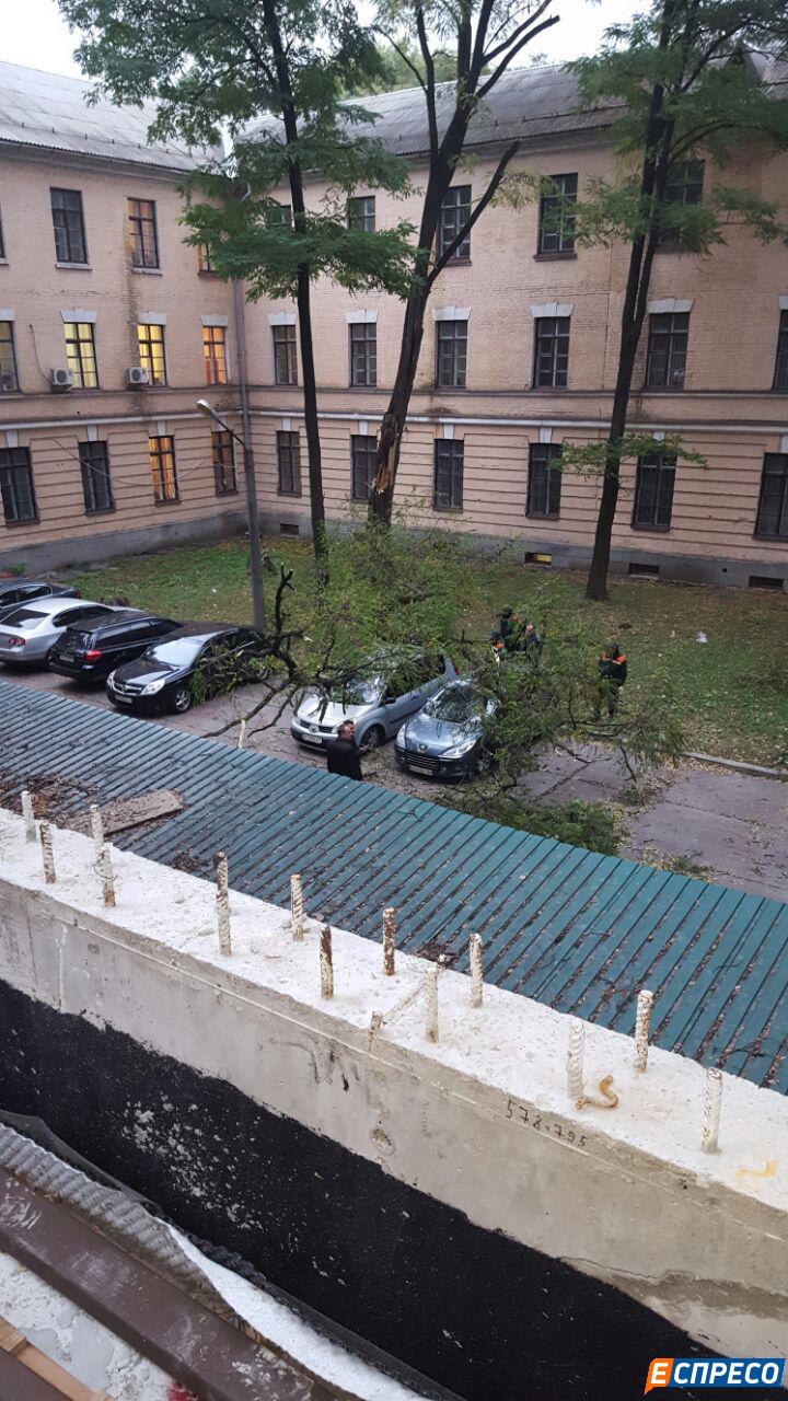На парковку Главной военной прокуратуры рухнуло дерево (ФОТО) 1 im578xAny photo 2016 10 12 18 55 01