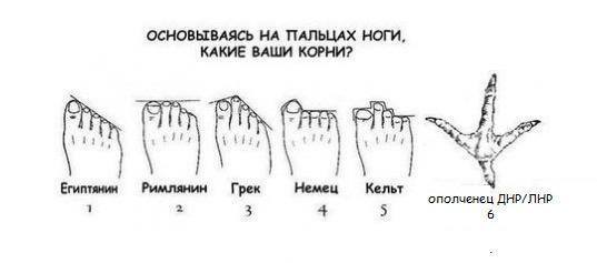 О ДНР и ЛНР 6 luganddonnn1