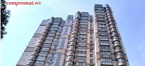 Светлана Шелест стала обладательницей трехкомнатной квартиры в центре столицы за 50 млн гривен 2 shevel