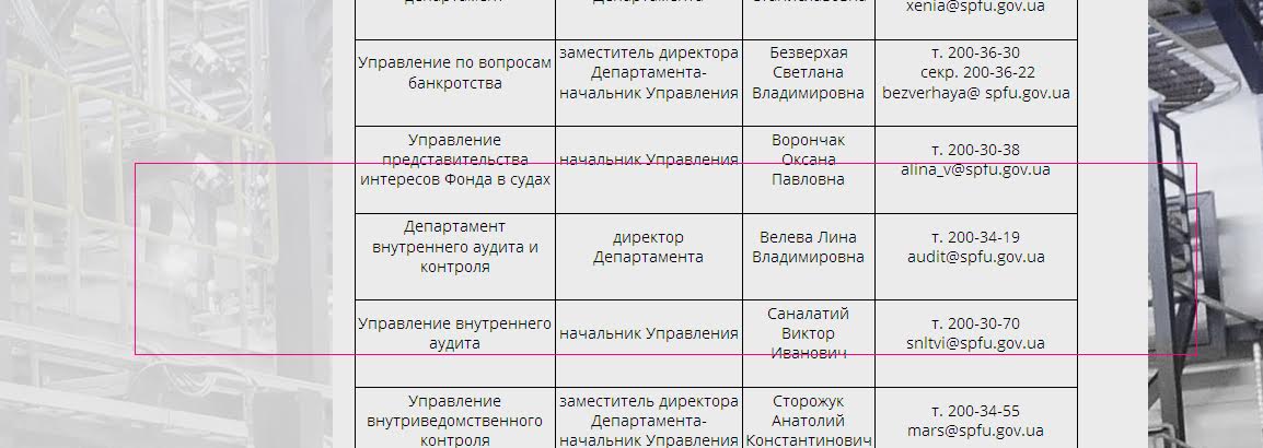 Саша «Стоматолог» всплывает в Фонде госимущества 3 veleva2